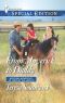 [Montana Mavericks: 20 Years in the Saddle 02] • From Maverick to Daddy